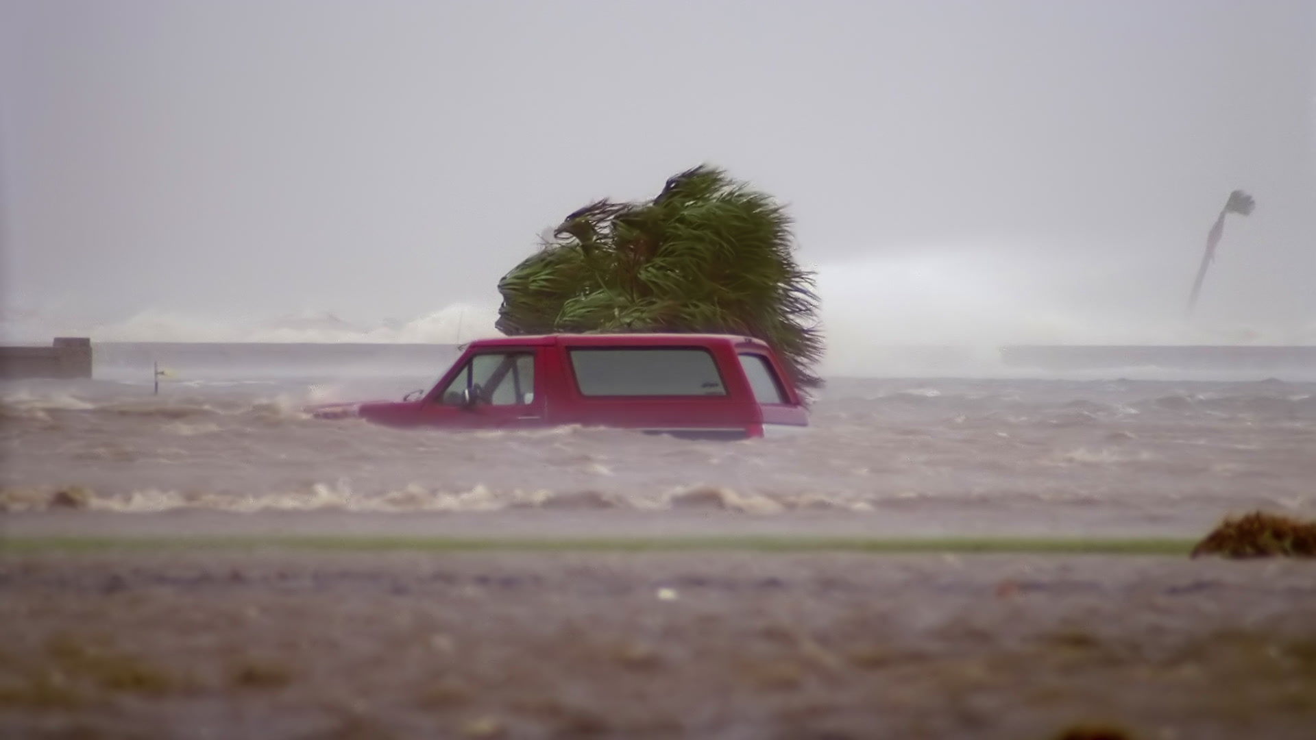 Storms on 35 - Storm surge, waves, overtake red SUV, Hurricane Gustav. Super 35mm film to 4K video. Cinematographer: Martin Lisius. Need more? Give us a shout!