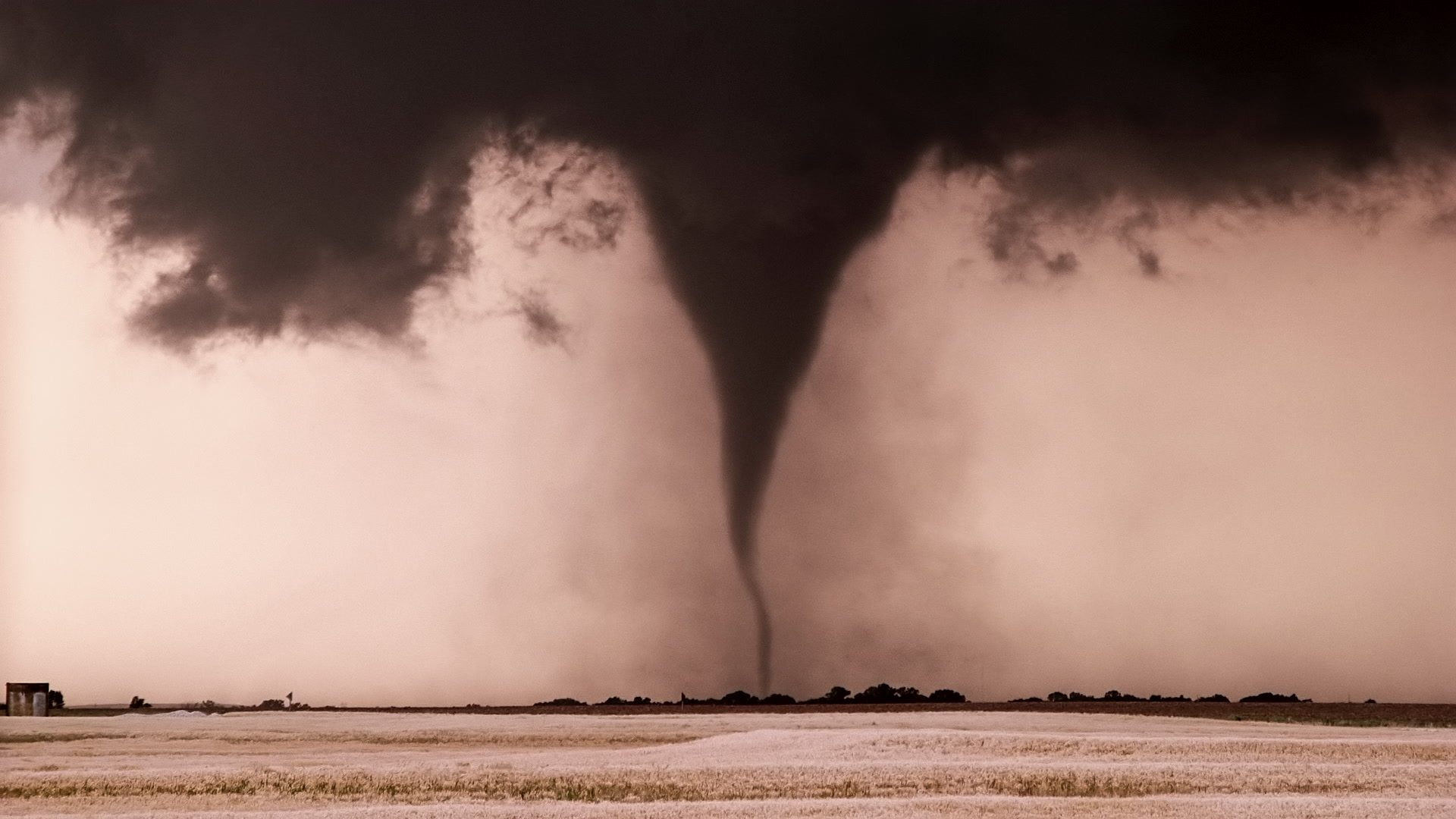 It's a Twister!