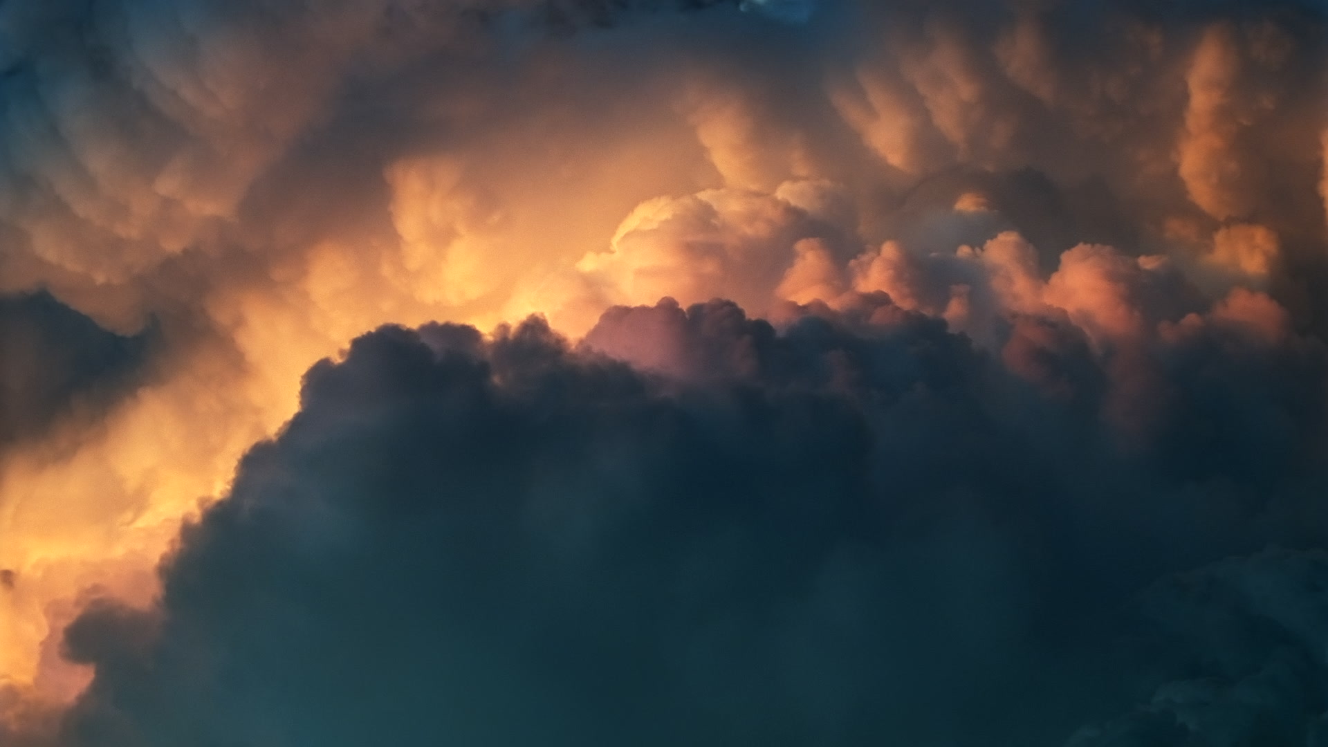 Super 35mm film to 4K video. Cinematographer: Martin Lisius. Need more? Give us a shout!