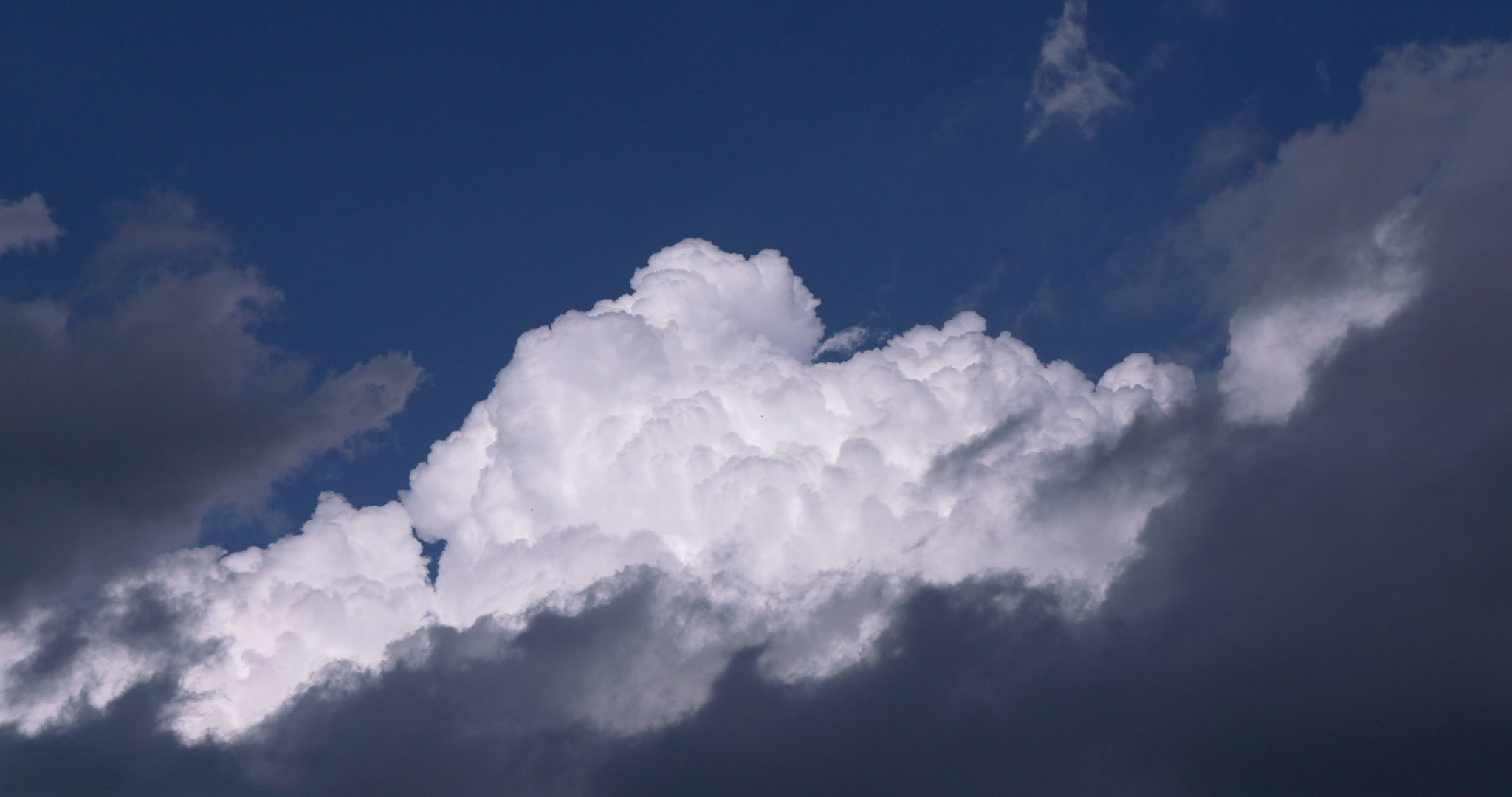 4K Storm Clouds - Towering cumulus builds upward at dusk. Cinematographer: Martin Lisius.