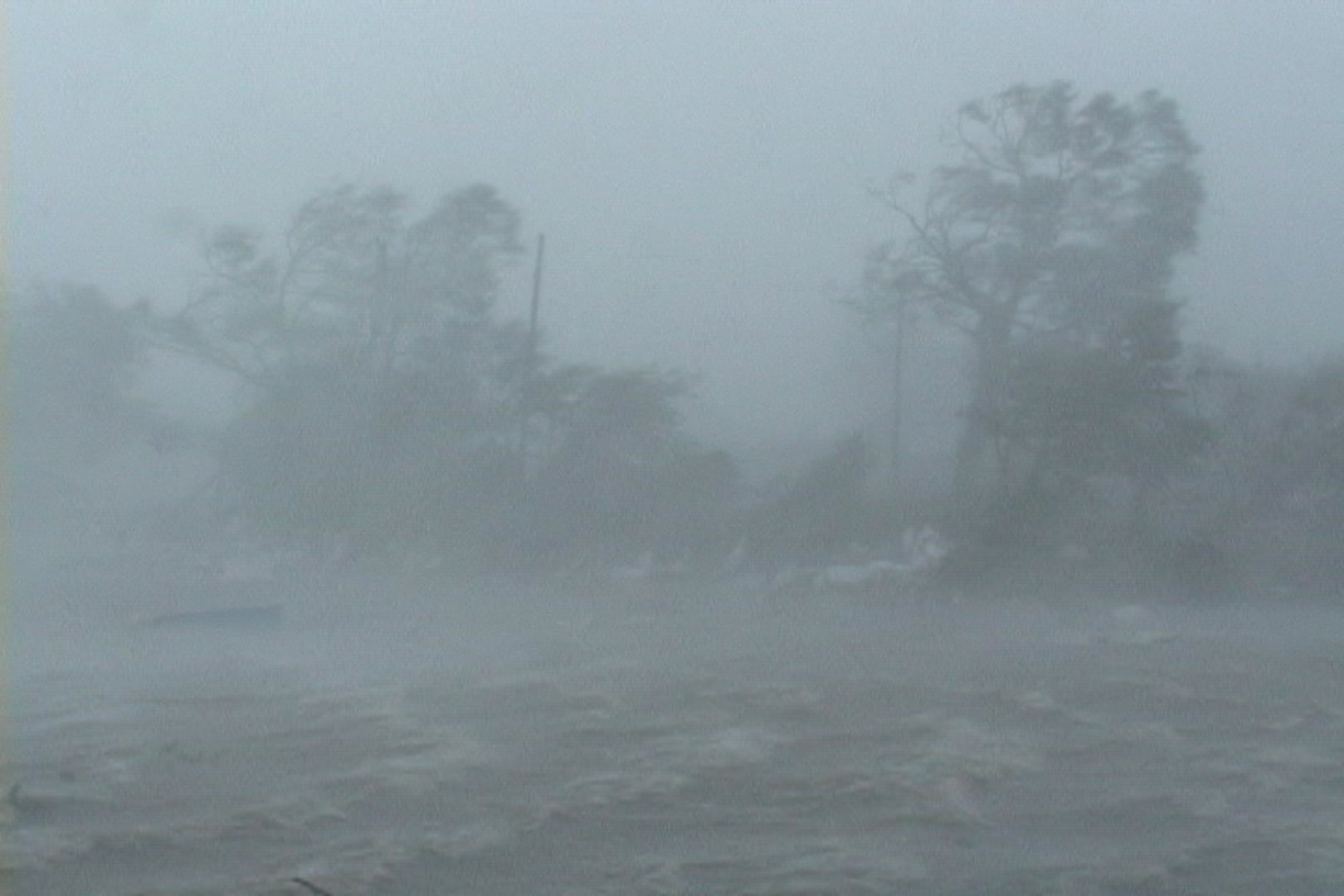 Intense wind and storm surge blow past trees and debris, Hurricane Katrina.