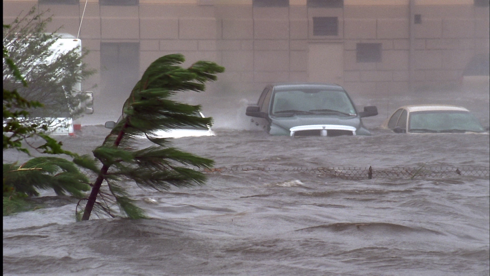 Cars in parking lot overtaken by storm surge, Hurricane Katrina, Super 35mm film to HD video. Cinematographer: Martin Lisius.