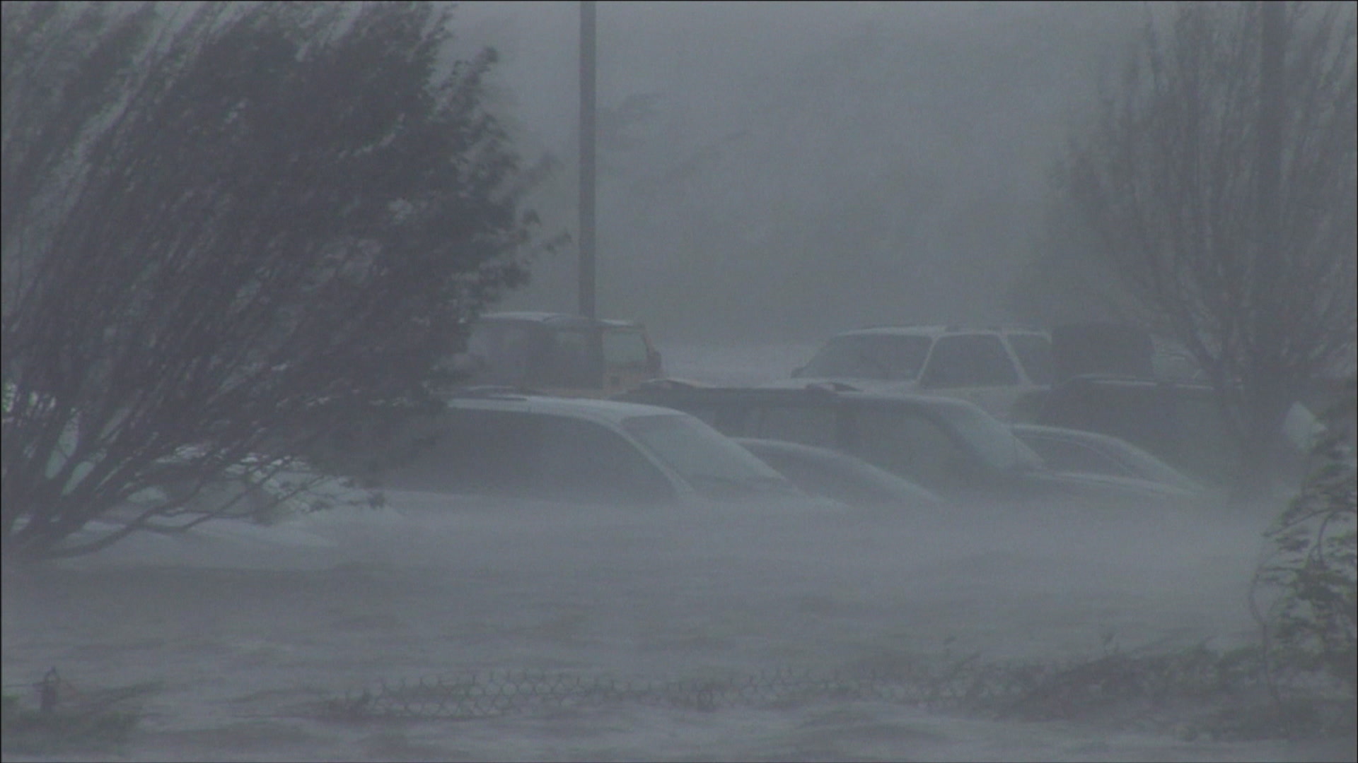 Flooded cars, record storm surge, Hurricane Katrina, 4K. Cinematographer: Martin Lisius.