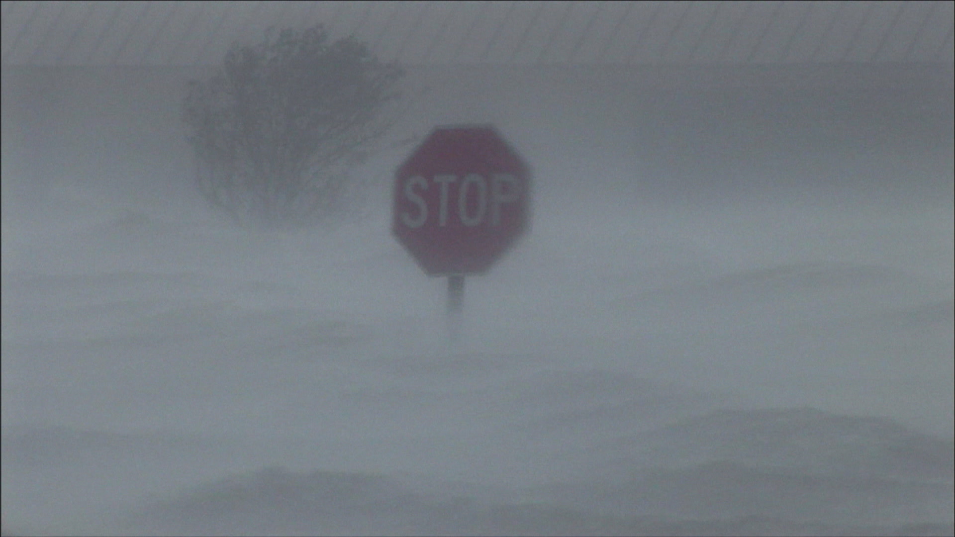 Stop sign flutters in record storm surge, Hurricane Katrina, 4K. Cinematographer: Martin Lisius.