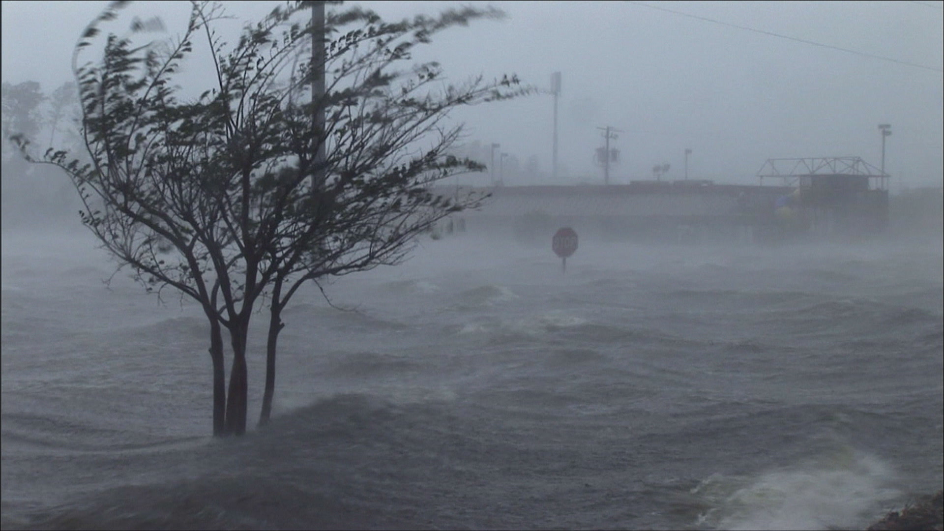Record storm surge rolls across parking lot, Hurricane Katrina, 4K video. Cinematographer: Martin Lisius.
