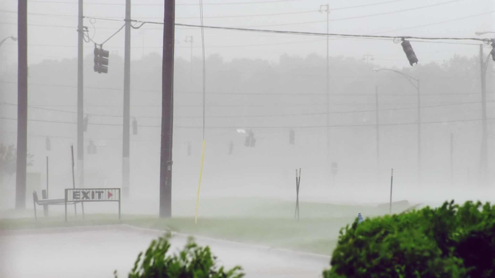 Intense wind and rain blow past traffic lights, Hurricane Katrina, Super 35mm film to 4K video. Cinematographer: Martin Lisius.