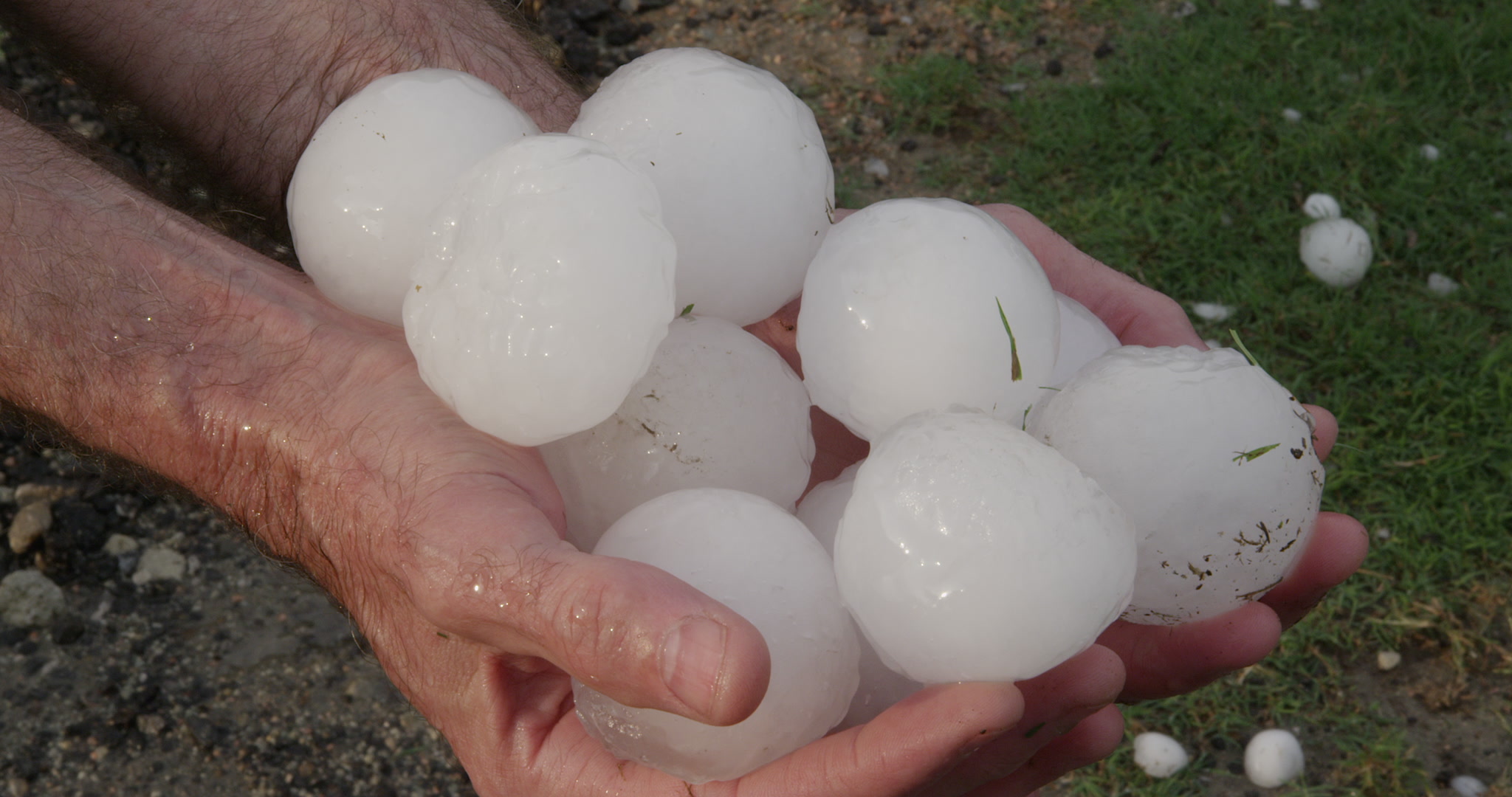 Man holds baseball size hail, 4K.