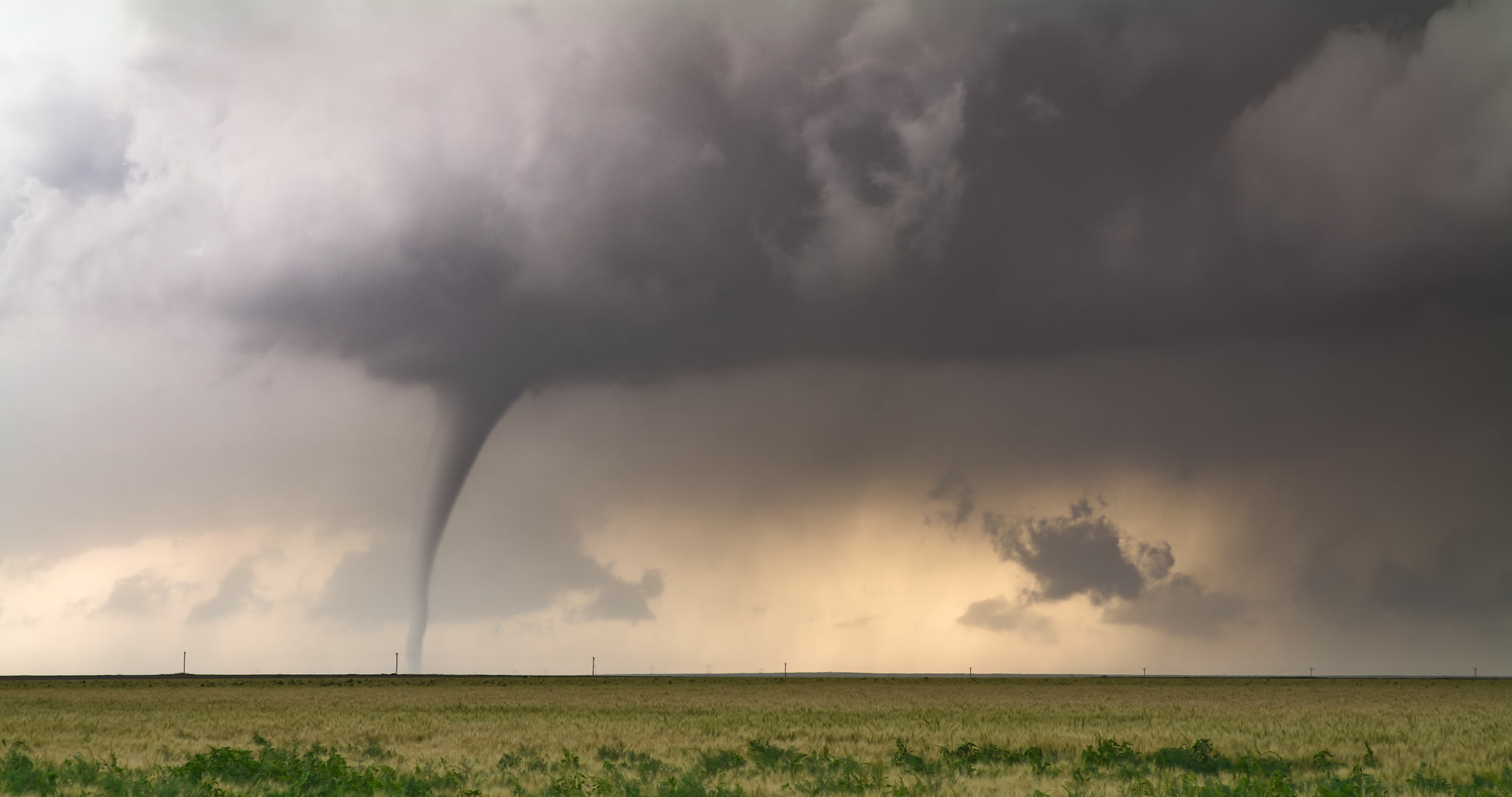 Tornado weaves and stretches over wheat, Holly, Colorado, 6K.