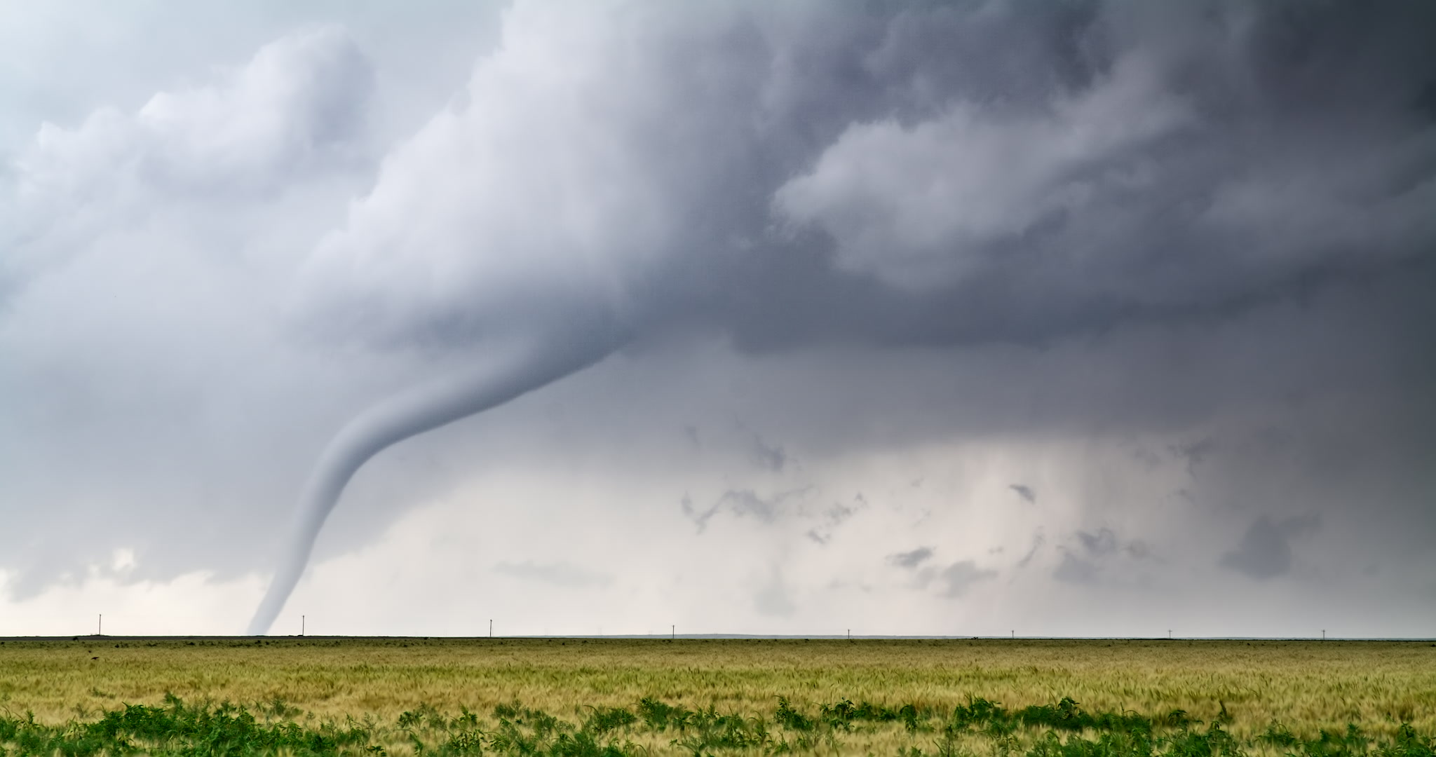 Classic gray tornado over wheat, Holly, Colorado, 6K.