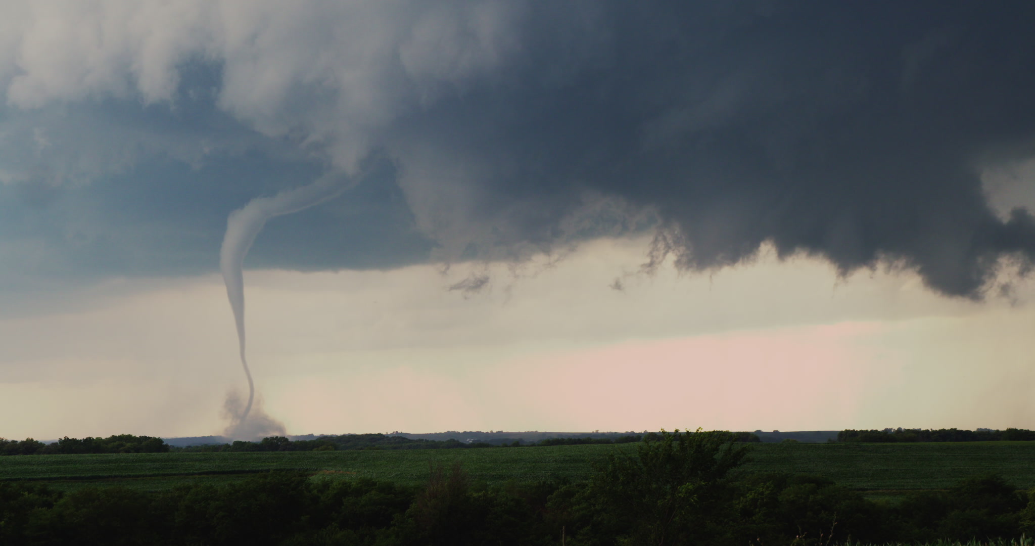 Snake-like tornado over green corn, Iowa, 4K.