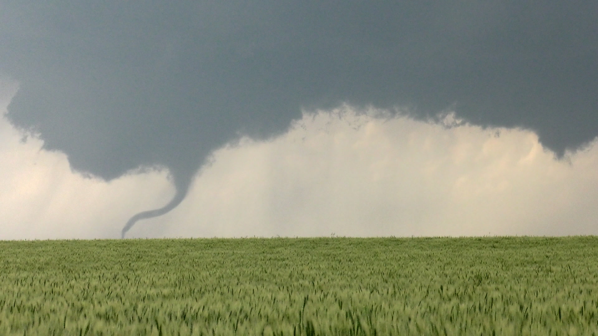 Tornado over green wheat field, Kansas, 4K.