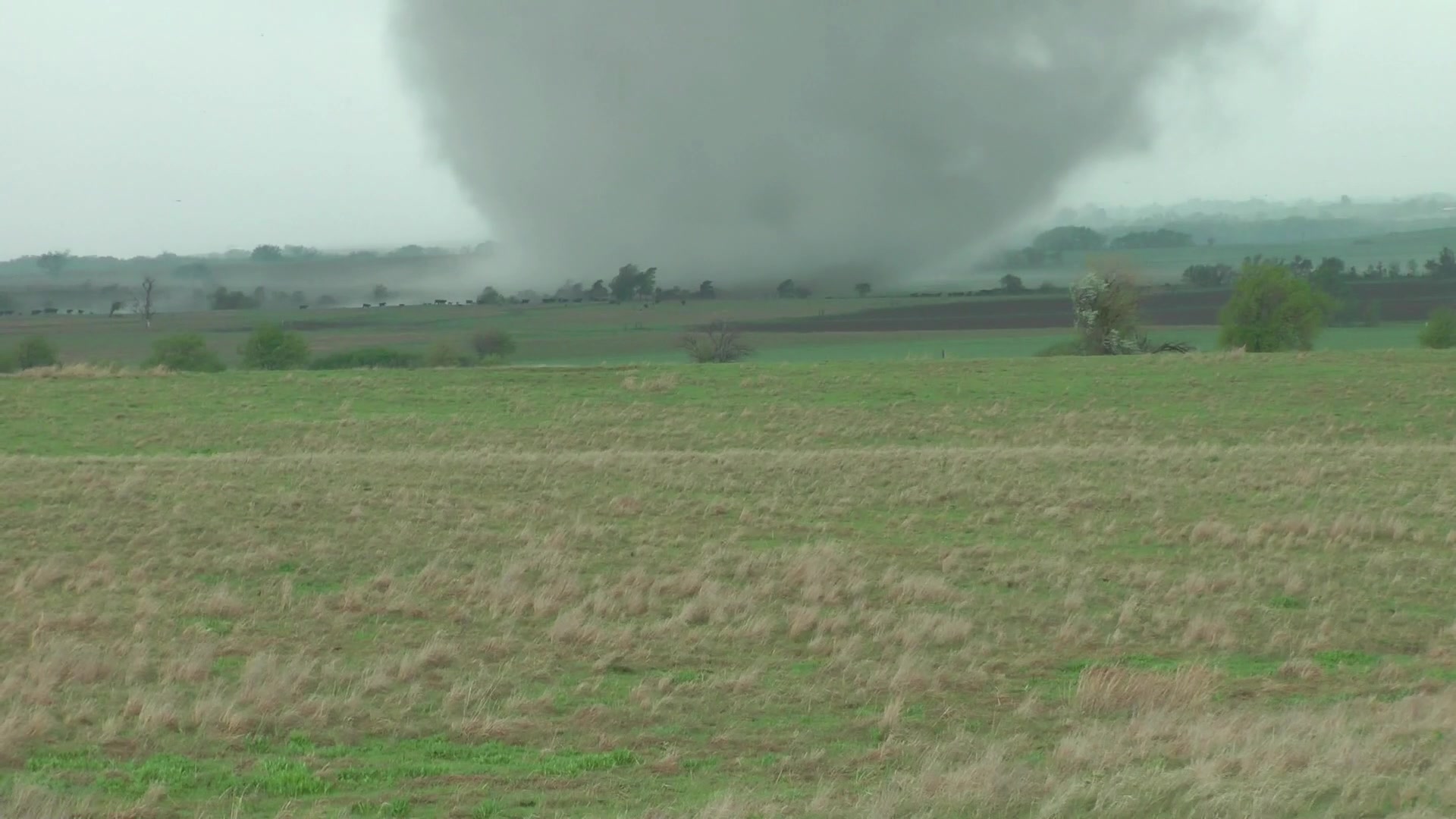 Tornado sucks up cows, farm, Kansas.
